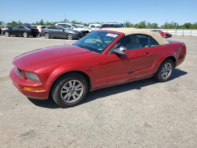 1ZVHT84N685191384 - 2008 FORD MUSTANG RED photo 1