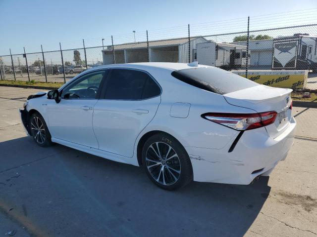 4T1J31AK4LU537125 - 2020 TOYOTA CAMRY SE WHITE photo 2