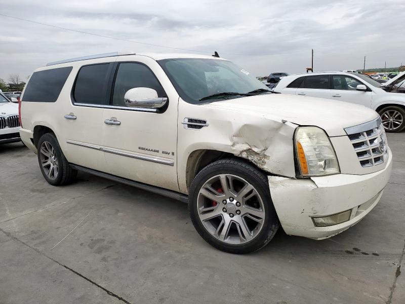 1GYFC26239R143548 - 2009 CADILLAC ESCALADE ESV LUXURY 奶油色 照片 4