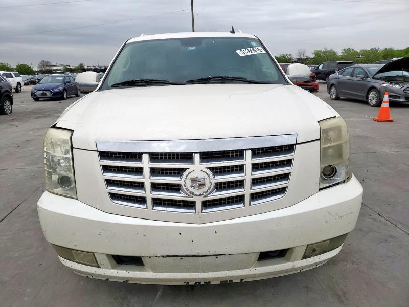 1GYFC26239R143548 - 2009 CADILLAC ESCALADE ESV LUXURY 奶油色 照片 5