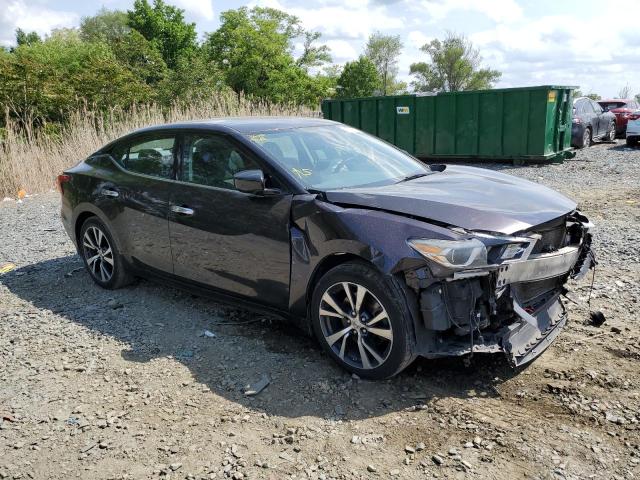 1N4AA6AP8GC386410 - 2016 NISSAN MAXIMA 3.5S PURPLE photo 4