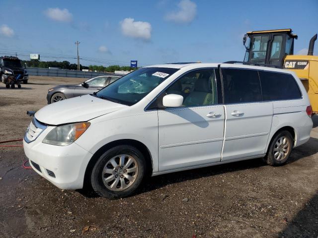 5FNRL387X9B407453 - 2009 HONDA ODYSSEY EXL WHITE photo 1