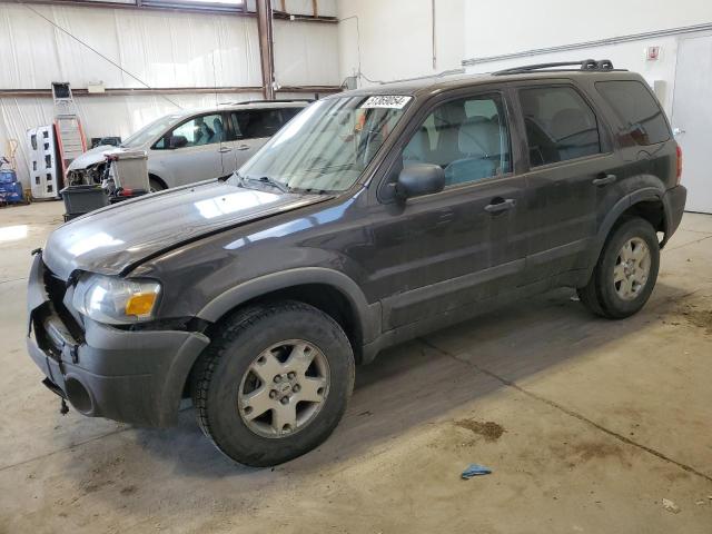 1FMYU93177KA17209 - 2007 FORD ESCAPE XLT BROWN photo 1