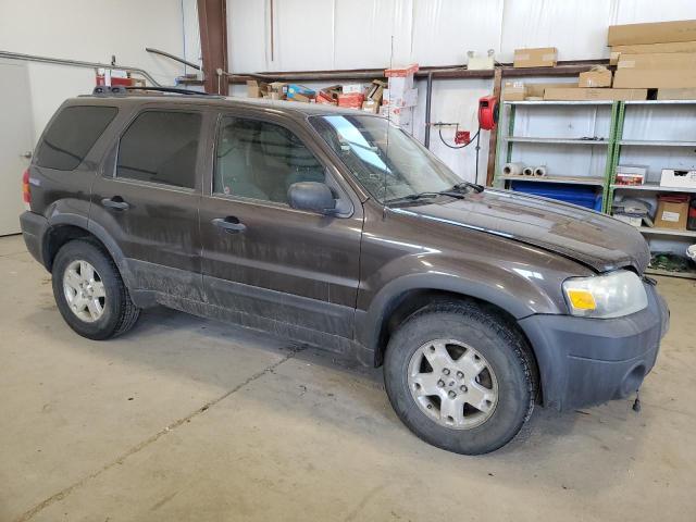 1FMYU93177KA17209 - 2007 FORD ESCAPE XLT BROWN photo 4