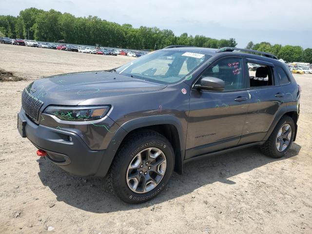 1C4PJMBX0KD309086 - 2019 JEEP CHEROKEE TRAILHAWK GRAY photo 1