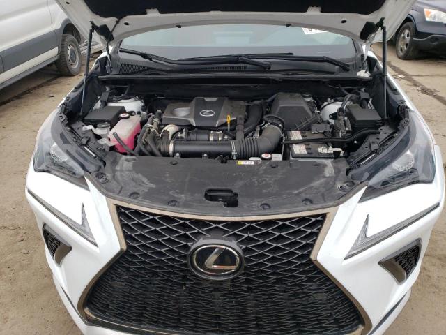 JTJSARDZ1M5028737 - 2021 LEXUS NX 300 BASE თეთრი ფოტო 12