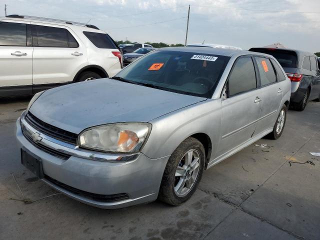 1G1ZT62875F213111 - 2005 CHEVROLET MALIBU MAXX LS SILVER photo 1