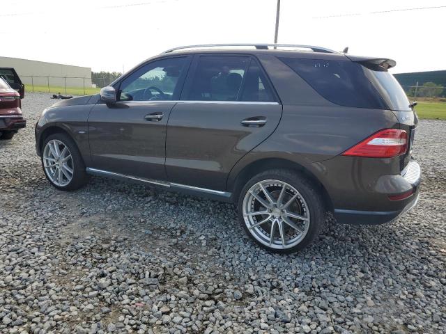 4JGDA5HB3CA027818 - 2012 MERCEDES-BENZ ML 350 4MATIC BROWN photo 2