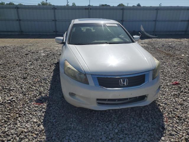 1HGCP36818A068824 - 2008 HONDA ACCORD EXL WHITE photo 5