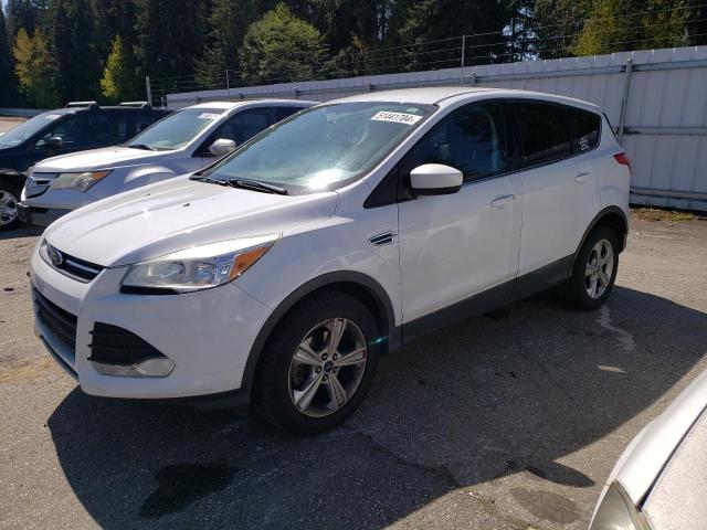 2014 FORD ESCAPE SE, 