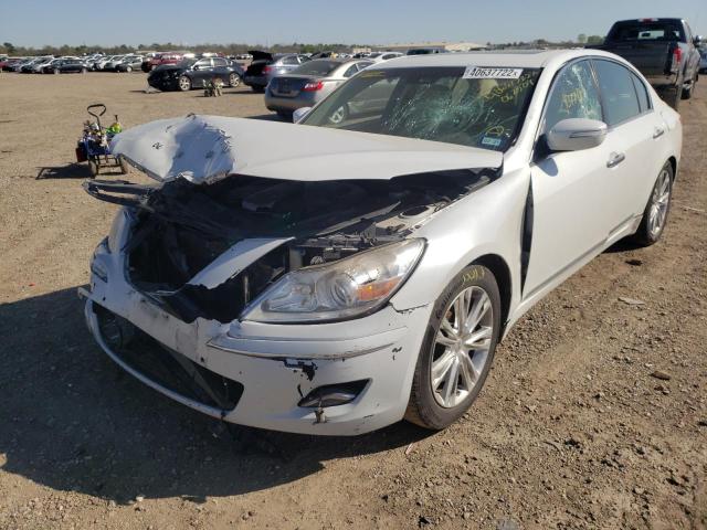 KMHGC46F29U062509 - 2009 HYUNDAI GENESIS 4.6L WHITE photo 2