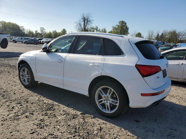 WA1DGAFPXDA068324 - 2013 AUDI Q5 PREMIUM PLUS WHITE photo 2