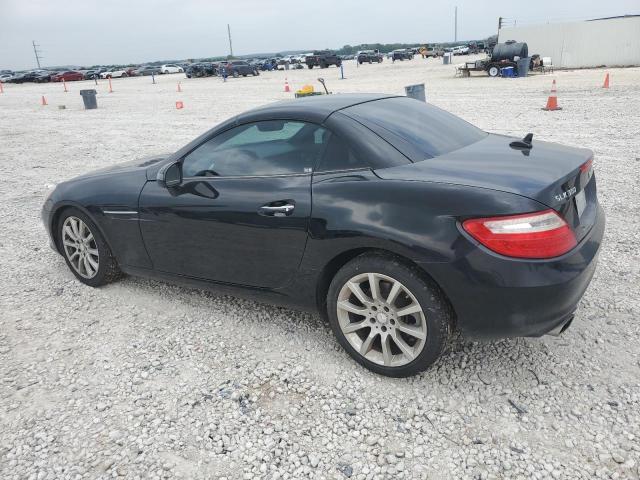 WDDPK3JA5GF123873 - 2016 MERCEDES-BENZ SLK 300 BLACK photo 2