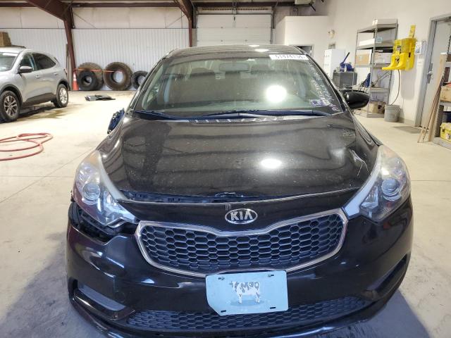 KNAFK4A6XG5523003 - 2016 KIA FORTE LX BLACK photo 5