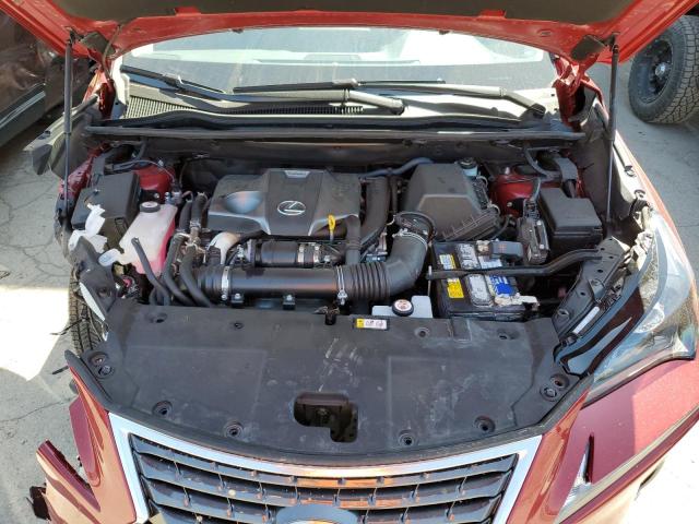 JTJDARDZ6M5020965 - 2021 LEXUS NX 300 BASE Czerwony zdjęcie 12