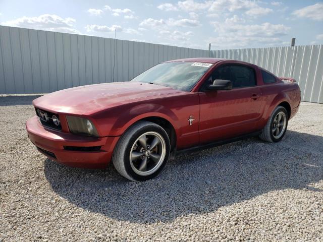 1ZVFT80N365162192 - 2006 FORD MUSTANG RED photo 1