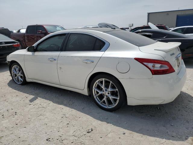 1N4AA5AP7BC811327 - 2011 NISSAN MAXIMA S WHITE photo 2