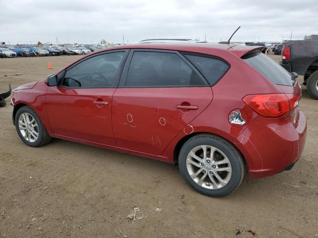 KNAFU5A22B5324324 - 2011 KIA FORTE EX RED photo 2