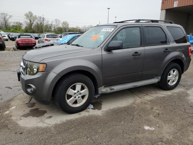 1FMCU0DG4AKA04210 - 2010 FORD ESCAPE XLT GRAY photo 1