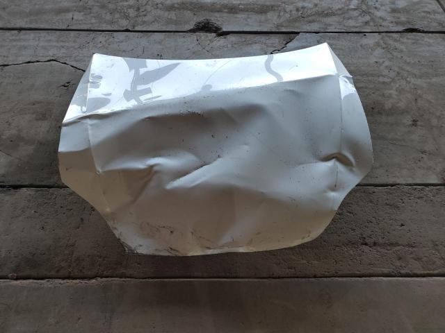 5YJSA1E59PF513470 - 2023 TESLA MODEL S Ağ foto 12