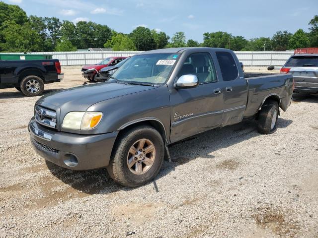 5TBRT34115S469646 - 2005 TOYOTA TUNDRA ACCESS CAB SR5 GRAY photo 1