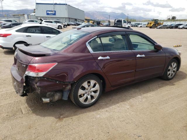 5KBCP3F82AB017667 - 2010 HONDA ACCORD EXL BURGUNDY photo 3