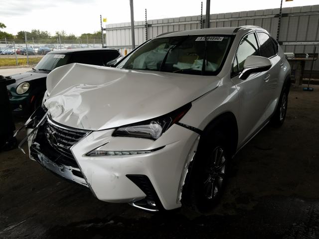 JTJAARBZ5L5002087 - 2020 LEXUS NX 300 BASE Ağ foto 2