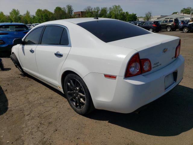 1G1ZE5EU3BF335229 - 2011 CHEVROLET MALIBU LTZ თეთრი ფოტო 2