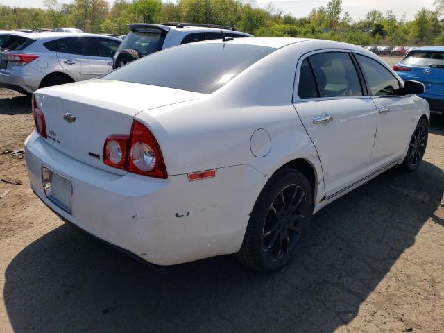 1G1ZE5EU3BF335229 - 2011 CHEVROLET MALIBU LTZ თეთრი ფოტო 3