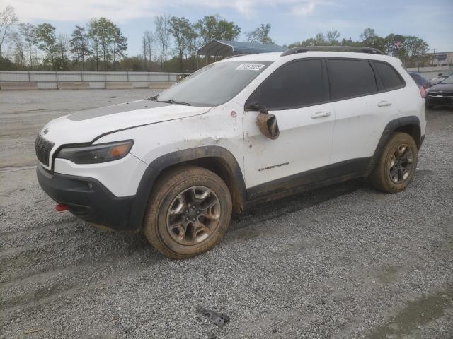 1C4PJMBX9KD256968 - 2019 JEEP CHEROKEE TRAILHAWK WHITE photo 1