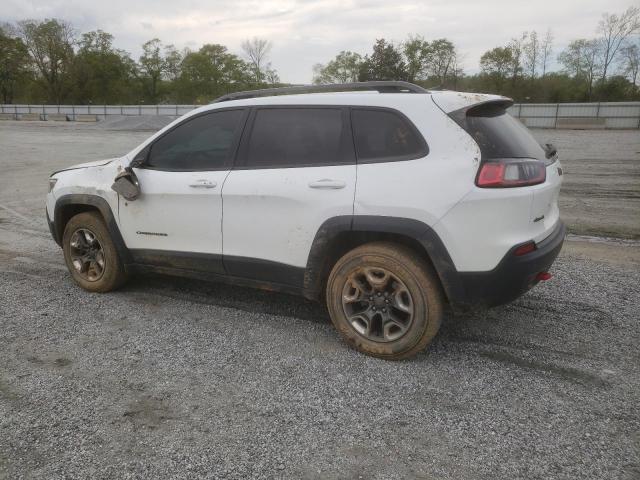 1C4PJMBX9KD256968 - 2019 JEEP CHEROKEE TRAILHAWK WHITE photo 2