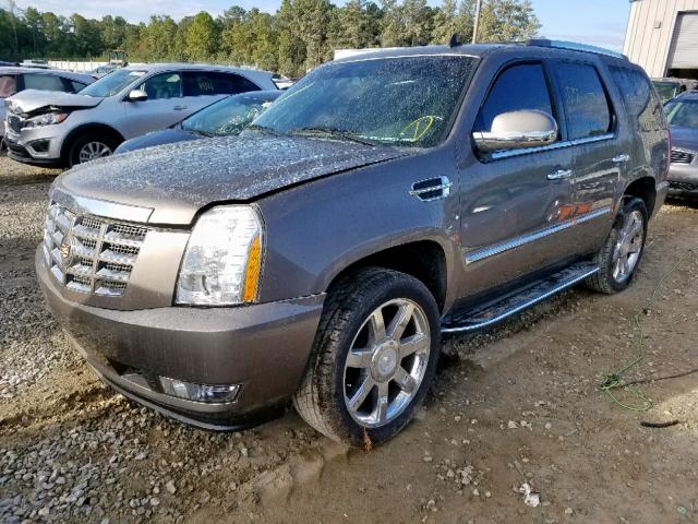 1GYS3BEF6ER171681 - 2014 CADILLAC ESCALADE LUXURY  photo 2