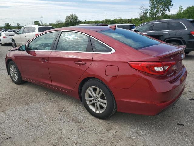 5NPE24AFXGH276824 - 2016 HYUNDAI SONATA SE RED photo 2