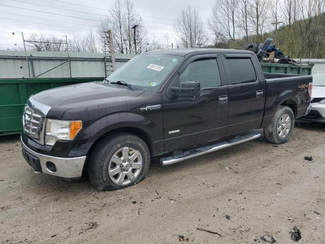 2013 FORD F150 SUPERCREW, null