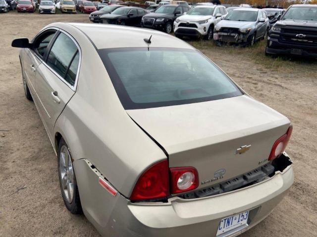 1G1ZD5EU2BF274491 - 2011 CHEVROLET MALIBU 2LT GOLD photo 3