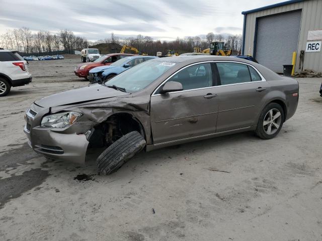 1G1ZC5E11BF349142 - 2011 CHEVROLET MALIBU 1LT TAN photo 1