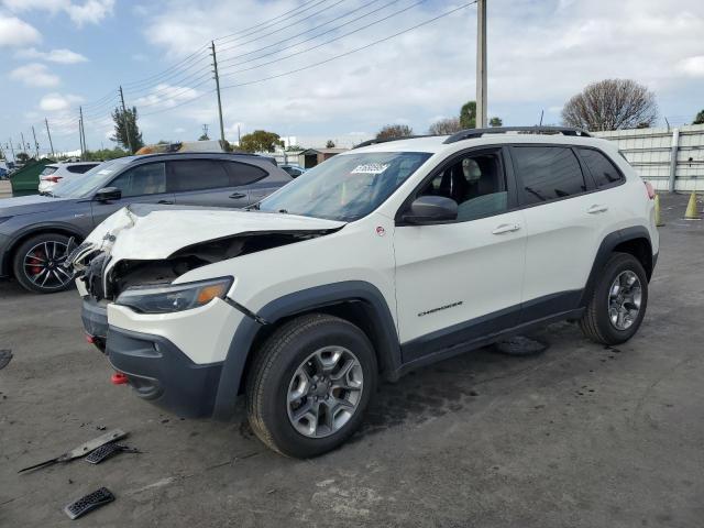 1C4PJMBX2KD152628 - 2019 JEEP CHEROKEE TRAILHAWK WHITE photo 1