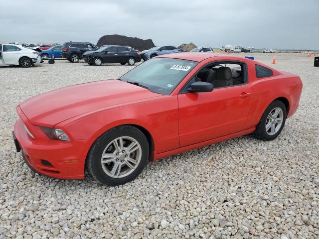 1ZVBP8AM7D5241726 - 2013 FORD MUSTANG RED photo 1