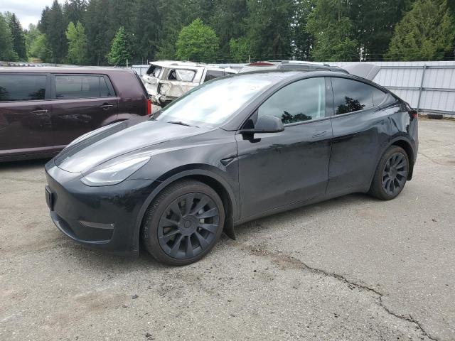 2023 TESLA MODEL Y, null