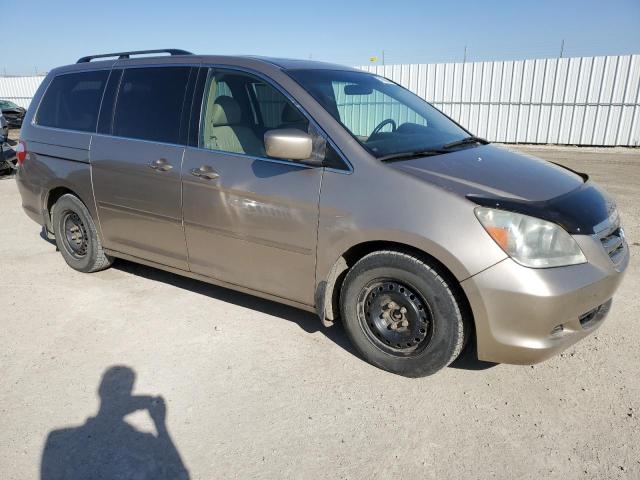 5FNRL38636B511348 - 2006 HONDA ODYSSEY EXL GOLD photo 4