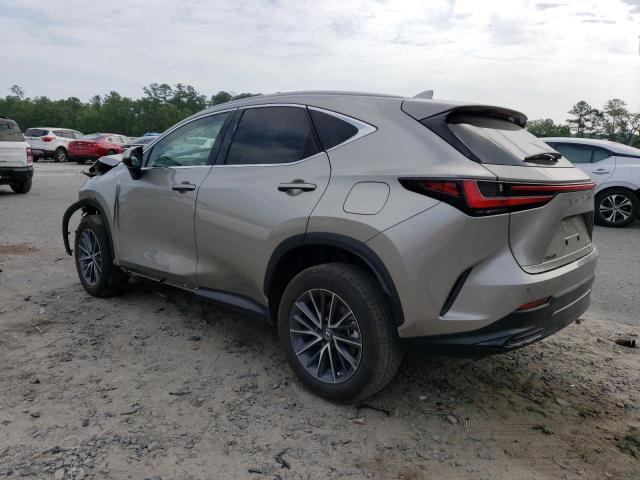 2T2GGCEZ0PC026256 - 2023 LEXUS NX 350 SILVER photo 2