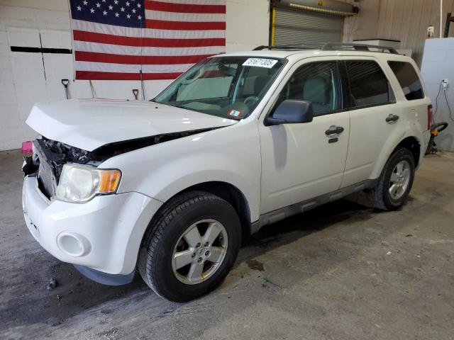 2009 FORD ESCAPE XLT, 
