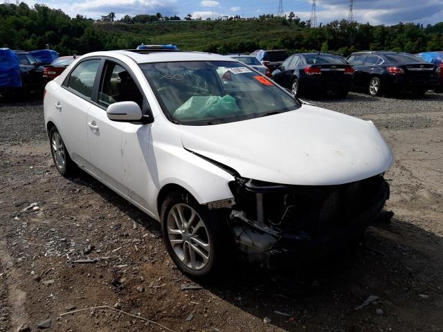 KNAFU4A27B5404261 - 2011 KIA FORTE EX WHITE photo 1