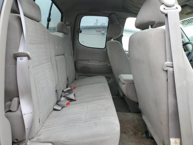 5TBRT34183S418416 - 2003 TOYOTA TUNDRA ACCESS CAB SR5 GRAY photo 10