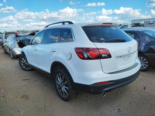 JM3TB3DA5E0439639 - 2014 MAZDA CX-9 GRAND TOURING WHITE photo 3