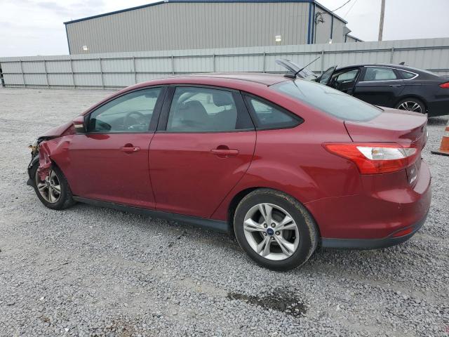 1FADP3F28EL297988 - 2014 FORD FOCUS SE RED photo 2