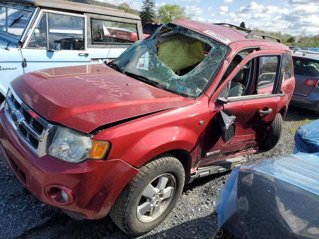 2008 FORD ESCAPE XLT, 