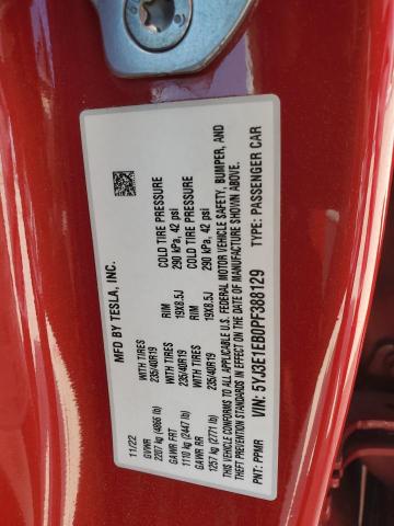 5YJ3E1EB0PF388129 - 2023 TESLA MODEL 3 红色 照片 12