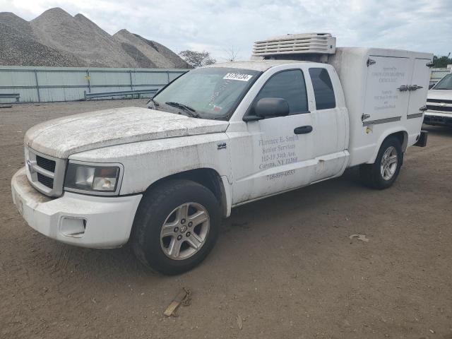 1D7RW3BP7BS686083 - 2011 DODGE DAKOTA SLT WHITE photo 1