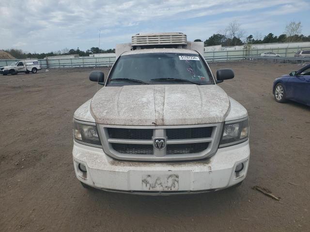 1D7RW3BP7BS686083 - 2011 DODGE DAKOTA SLT WHITE photo 5